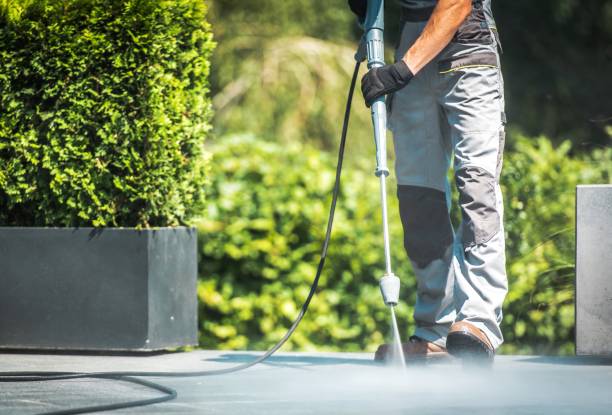 Best Fence Cleaning  in Forked River, NJ
